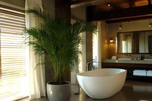 A bathroom with a large tub and a plant photo