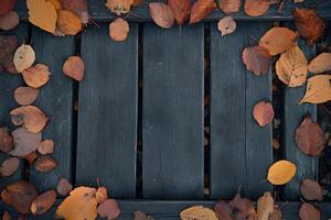 Autumn leaves on wooden bench photo