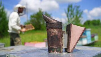 Chimney with smoke on hive. Bee smoker on the blur background of a beekeeper working on apiary. Apiculture concept. video