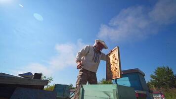 Man in protective hat on apiary. Beekeeper works with wooden frame from hive under blue sky. View from below. Apiculture. video