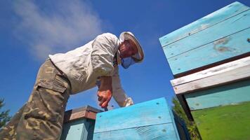 Beekeeper looks into hive. Apiarist working with bee frames against blue sky. Beekeeping process. View from below. video