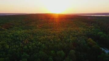 Evening landscape of trees. View from above on green top trees with orange rays of the setting sun. Beautiful nature at sunset. Camera rising up. video
