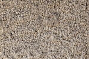 Textured stone wall showcasing ancient carvings under bright sunlight in an archaeological site photo