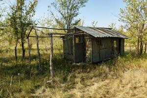 Old abandoned wagon or trailer in the forest photo