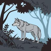 A wolf standing in the woods with trees and grass vector