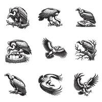 Majestic Vulture Silhouettes for Nature Design Projects vector