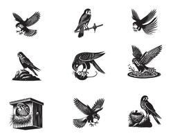 Dynamic American Kestrel Silhouettes for Wildlife Projects vector