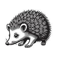 A hedgehog is shown in a black and white drawing vector