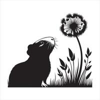 Guinea Pig with Big Eyes Isolated on White vector
