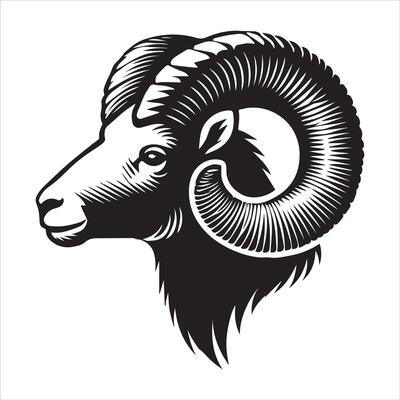 Simple Black and White Bighorn Sheep Silhouette Design