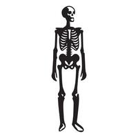 Man Skeleton and Moon Graphic Design vector