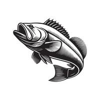 Goliath grouper fish different poses Design Goliath grouper vector