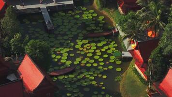 Aerial view of a pond with green lily pads, tropical vegetation, Thai style red roofed buildings, a wooden boat, and a walkway with visitors. video