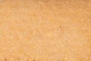 Macro close up of fibrous paper texture photo