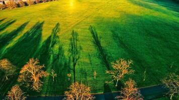Aerial Photograph of Park Lawn with Tree Shadows photo