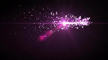 Pink Sakura Stroke Line Particle Animation video