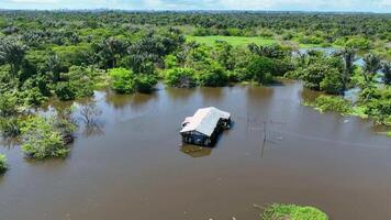 High Angle of Amazonian Rainforest in Manaus Amazonas in Brazil. Jungle Background. video