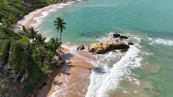 Aerial View of Tabatinga Beach in Conde Paraiba in Brazil.. Cliff Scenery. video