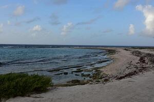 Gentle Waves Lapping Ashore at Bachelors Beach Cove photo