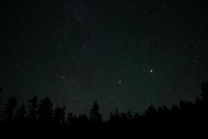 A clear night sky reveals countless stars sparkling above a dense forest. The tranquility of the setting enhances the beauty of the celestial display, offering a peaceful retreat. photo