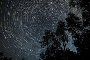 A breathtaking view captures the movement of stars creating trails in the night sky above a serene forest. Towering trees frame the enchanting celestial show. photo