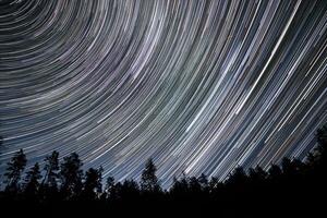 A mesmerizing display of star trails arcs across the night sky, creating a sense of motion above the dark silhouettes of trees in a quiet forest. photo