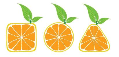 A set symbols of the stylized oranges. vector