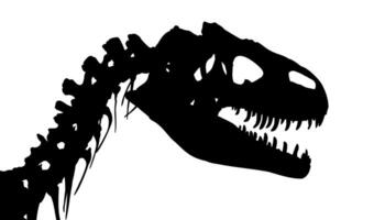 Skeleton of ancient big dinosaur. vector