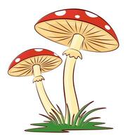 The red forest mushrooms with a green grass. vector