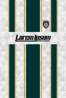 Abstract background for sports jersey pattern triangle white green line vector