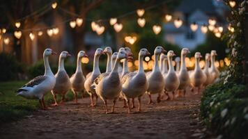 A line of geese walking down a path illuminated by heart-shaped lights at dusk. photo