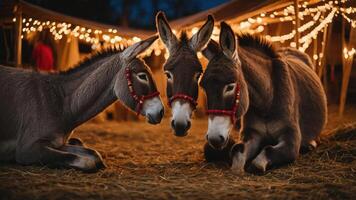 Three donkeys resting together in a cozy, festive setting with warm lights in the background. photo