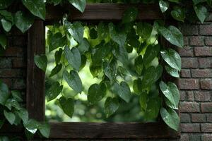 Heart shaped leaves frame a lush green background through a rustic wooden window photo