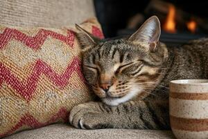 Tabby cat sleeping peacefully on a couch near a fireplace photo