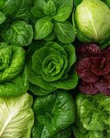 Fresh organic lettuce and cabbage varieties, top view photo