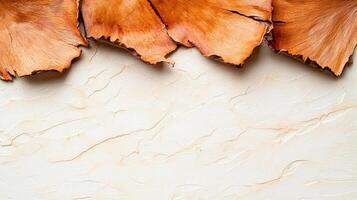 Abstract background with wooden texture and copy space photo