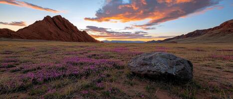 Sunset over a field of wildflowers with mountains in the background photo