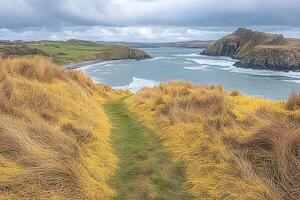 Scenic Coastal Pathway Overlooking Rugged Cliffs and Ocean Waves photo