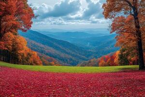 Spectacular Autumn Mountain View with Vibrant Red and Orange Foliage photo