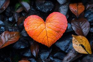 Heart-Shaped Autumn Leaf on Wet Dark Foliage - Nature's Art and Seasonal Change photo