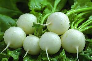 Fresh White Turnips with Dew Drops on Lush Green Leaves for Culinary and Health Concepts photo