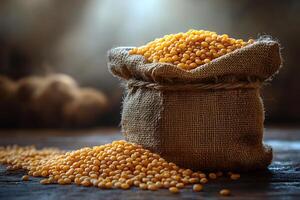 Burlap Sack Filled with Dry Lentils on Rustic Wooden Surface for Autumn Harvest Concepts photo