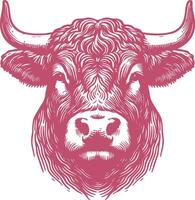 Vintage Dexter Cattle Illustration with Rustic Farm Style and Hand Drawn Details vector