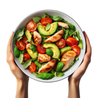 Hands holding a bowl of salad with chicken, avocado, tomatoes and basil png
