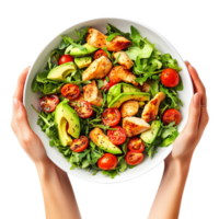 Hands holding a plate with a salad of chicken, avocado, tomatoes and lettuce png
