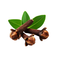 Clove cooking spice with leaf on transparent background png