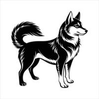 Alaskan Klee Kai Profile vector