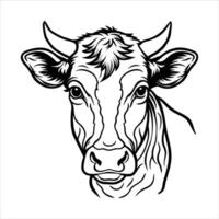 Belgian Blue Cow vector