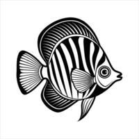Blue tang fish Free animals vector
