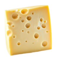 kaas blok met gaten Aan transparant achtergrond png